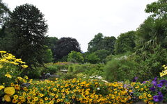 Blühende Blumen und Bäume im Botanischen Garten
