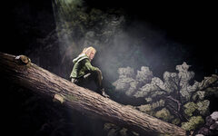 Robin Hood ist in der Inszenierung der Wuppertaler Bühnen eine Frau und sitzt auf einem Baumstamm im Wald