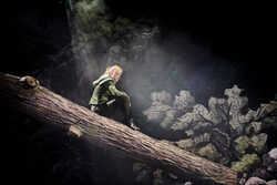 Robin Hood ist in der Inszenierung der Wuppertaler Bühnen eine Frau und sitzt auf einem Baumstamm im Wald