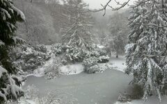 Ein vereister Teich und schneebedeckte Bäume in den Barmer Anlagen
