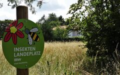 Auf dem Grundstück an der Pahlkestraße steht bereits ein Schild mit der Aufschrift "Insektenlandeplatz"