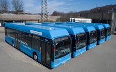 Wasserstoffbusse in einer Reihe