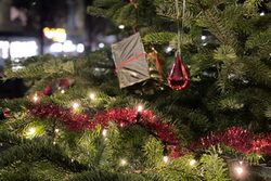 Der Weihnachtsbaum auf dem Wichlinghauser Markt
