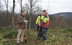 Oberbürgermeister Schneidewind lässt sich vor Ort die aktuelle Baumpflanzung erläutern
