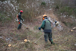 Zwei Männer auf der Fläche VoRang beseitigen Gras und Gestrüpp