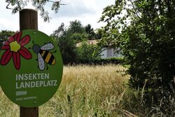Schild mit der Aufschrift Insekten Landeplatz