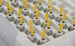 Kleine Dosen mit Impfstoff in einer Reihe, in ihnen stecken schon Nadeln mit gelber Umhüllung
