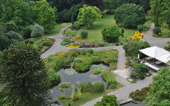 Der Botanische Garten mit Teich und Wegen von oben gesehen