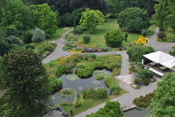 Der Botanische Garten mit Teich und Wegen von oben gesehen