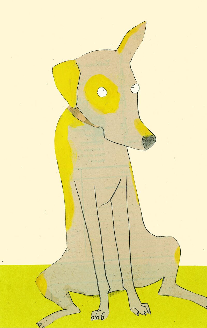 Hund aus dem Buch Die große Frage von Wolf Erlbruch
