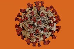 Corona-Virus vor orangenem Hintergrund