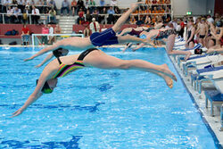 Schwimmer springen von den Startblöcken ins Becken der Schwimmoper