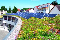 Photovoltaik-Anlage auf einem Gründach