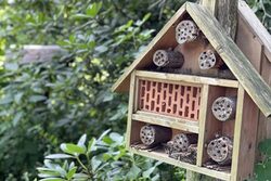 Insektenhotel, ein stilisierten Holzhäuschen mit Nist- und Überwinterungsmöglichkeiten für Insekten