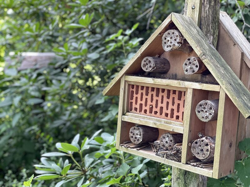 Insektenhotel, ein stilisiertes Holzhäuschen mit Nist- und Überwinterungsmöglichkeiten für Insekten