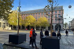 mobile Bäume auf dem Rathausvorplatz