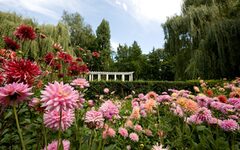 Der Stadtpark in Legnica