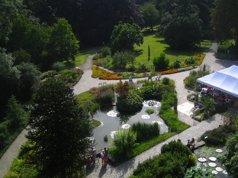 Luftaufnahme des Botanischen Gartens. Zu sehen ist der Teich mit Wiese, Blumen und Bäumen