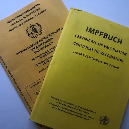 Das Bild zeigt zwei gelbe Impfpässe
