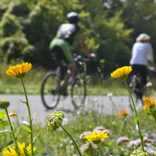 Zwei Personen fahren auf der Nordbahntrasse Fahrrad.