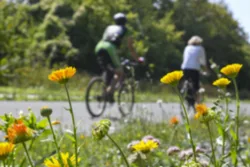 Zwei Personen fahren auf der Nordbahntrasse Fahrrad.
