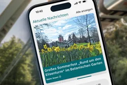 Grafik: Blick auf ein Smartphone auf dem die Wuppertal-App angezeigt wird.