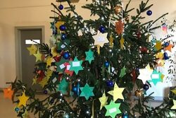 Der Weihnachtsbaum geschmückt mit den Wunschsternen.