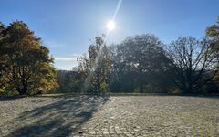 Blick auf Bäume im Botanischen Garten im Herbst.