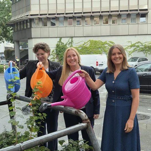 Oberbürgermeisterin Miriam Scherff und die Beigeordneten Dr. Sandra Zeh und Katrin Linthorst gießen eine Baumhasel am Rathaus