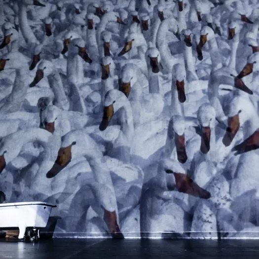 Eine Szene aus dem Stück "Danzon" von Pina Bausch. Ein Tänzer sitzt in einer Badewanne, hinter ihm sind überlebensgroße Schwäne auf eine Leinwand projiziert.