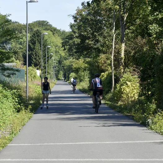 Blick auf die Nordbahntrasse in Vohwinkel.