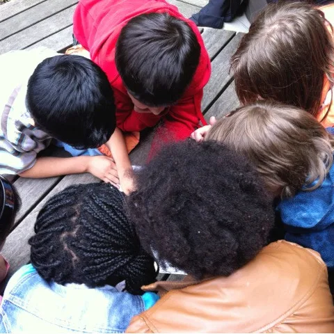 Kinder beobachten etwas am Boden