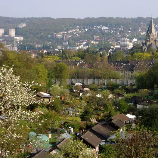 Kleingartenanlage mit Blick auf die Friedhofskirche