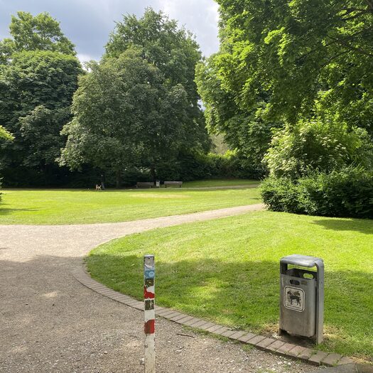 Remigiuspark mit Sonne