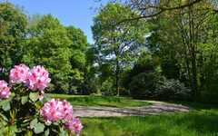 Halstenbachpark im Frühling
