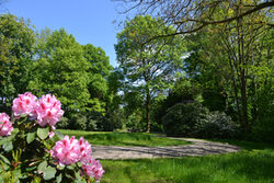 Halstenbachpark im Frühling