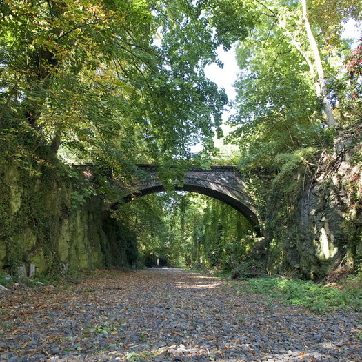 Tescher Stich: von Bäumen gesäumte, ehemalige Bahntrasse mit Felshängen und Steinbrücke